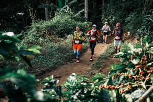 BIB: 
                            <button type="button" onclick="openModal(25856648)" class="btn btn-primary btn-sm float-right btn-popup" data-toggle="modal" data-target=".modal-high-quality">
                        <i class="fas fa-shopping-cart"></i> Add to Cart
                    </button>
                                            <button type="button" onclick="isThisMe(25856648, true)" class="btn btn-success btn-sm float-right btn-popup btn-isme hidden" data-toggle="tooltip" data-placement="bottom" title="นี่คือรูปของคุณใช่ไหม คลิกที่นี่เพื่อเอาเข้าอัลบั้ม">
                        <i class="fas fa-plus"></i> Add to album
                    </button>
                    <button type="button" onclick="isThisMe(25856648, false)" class="btn btn-warning btn-sm float-right btn-popup btn-isnotme hidden">
                        <i class="fas fa-ban"></i> Remove from album
                    </button>